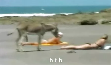 Za koga otvorite najviše xxx online filme 9