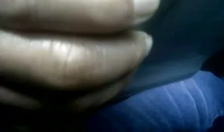 Prvo hd3 porno s
