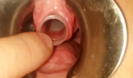 Velika barbika zadnjica je porno hd 750 gola